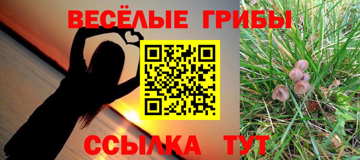 Галлюциногенные грибы Psilocybine cubensis Мариинск