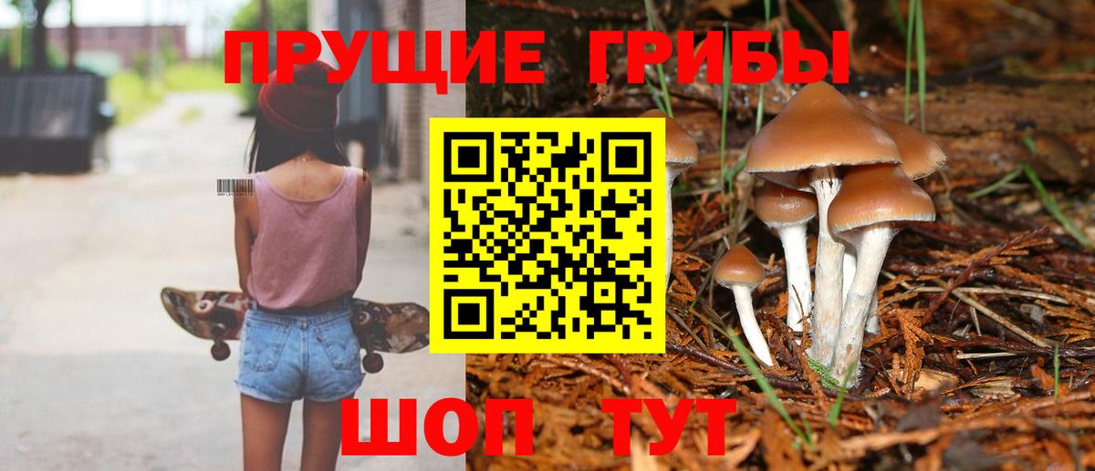 Галлюциногенные грибы мухоморы  Галлюциногенные грибы GOLDEN TEACHER  Мариинск  Вход с VPN 